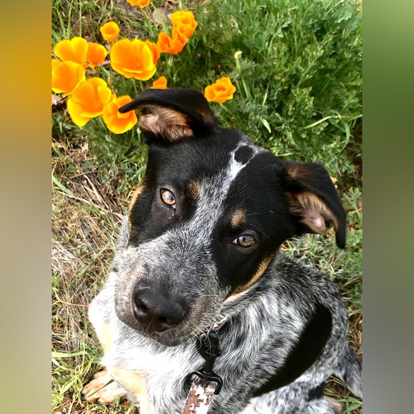 Meet your Posher, Erinn - Picture 12 of 13